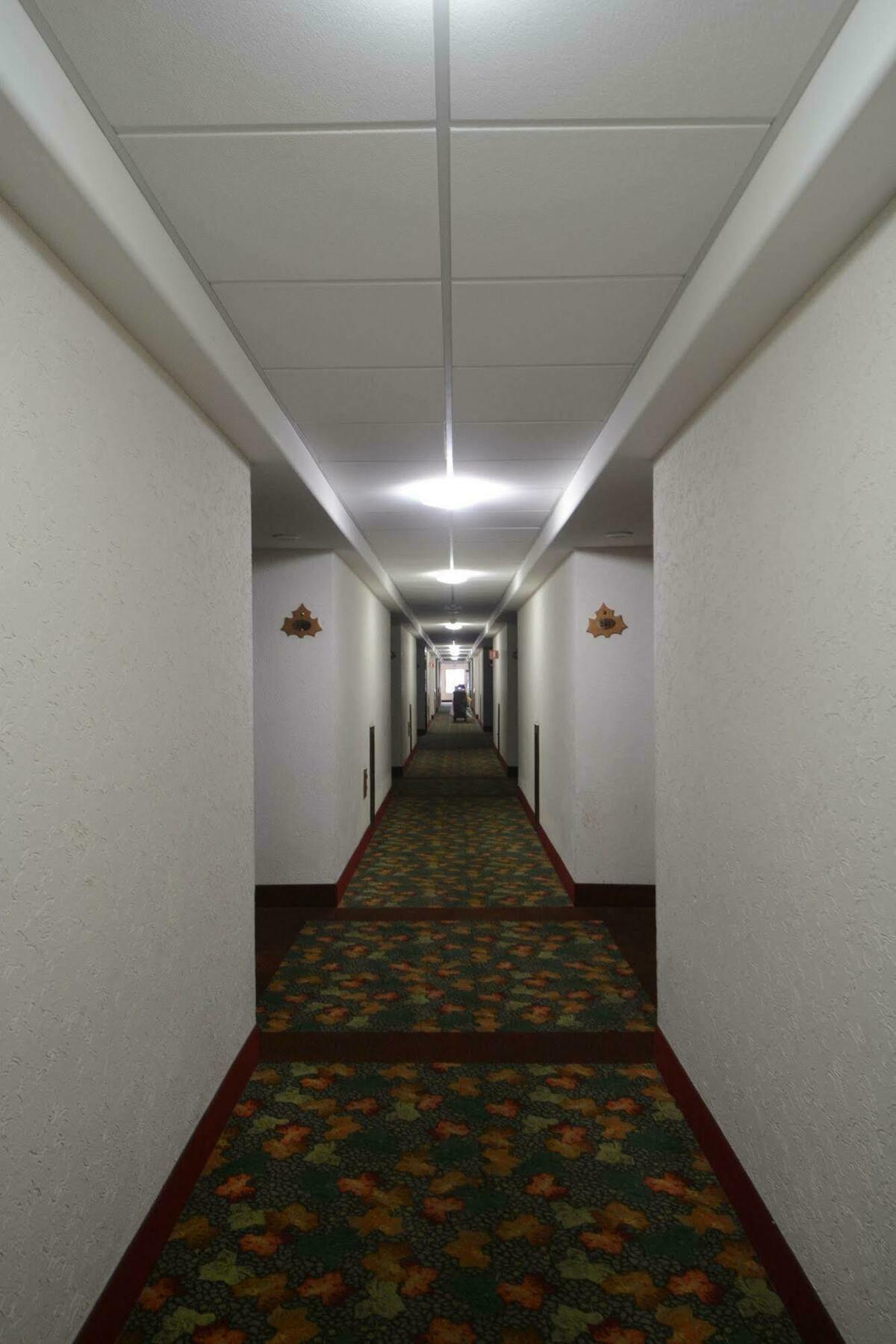 Hotel Sicomoro Chihuahua Exterior foto